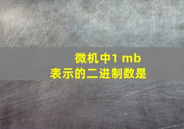 微机中1 mb表示的二进制数是